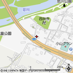 栃木県小山市神鳥谷216周辺の地図