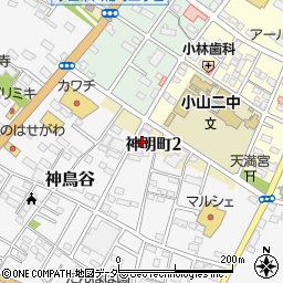 栃木県小山市神鳥谷862周辺の地図