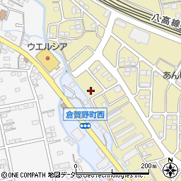 群馬県高崎市下之城町1043周辺の地図