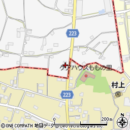 栃木県足利市寺岡町1032-1周辺の地図