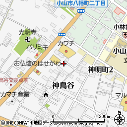 栃木県小山市神鳥谷874-12周辺の地図