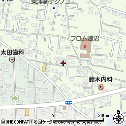 栃木県佐野市浅沼町100周辺の地図