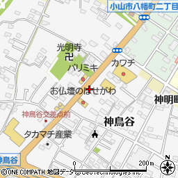 栃木県小山市神鳥谷691周辺の地図