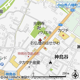 栃木県小山市神鳥谷689-1周辺の地図