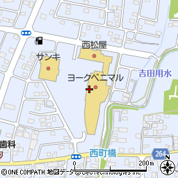 東京靴流通センター　ヨークタウン結城店周辺の地図