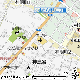 株式会社カワチ薬品　小山西店周辺の地図