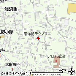 栃木県佐野市浅沼町162周辺の地図