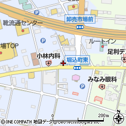 栃木県足利市堀込町187周辺の地図