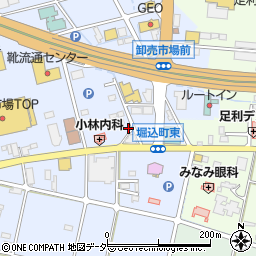 栃木県足利市堀込町186-3周辺の地図