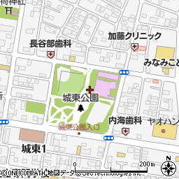 栃木県　警察本部小山警察署城東交番周辺の地図