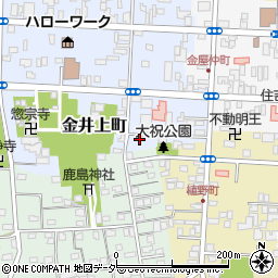 栃木県佐野市金井上町2248-5周辺の地図