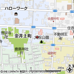 栃木県佐野市金井上町2249-1周辺の地図