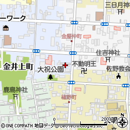 栃木県佐野市金井上町2266周辺の地図
