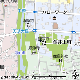 栃木県佐野市金井上町2233周辺の地図