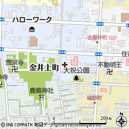 栃木県佐野市金井上町2251-1周辺の地図