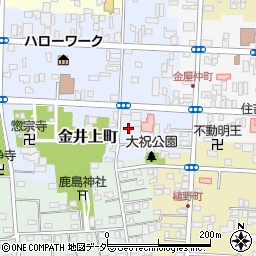 栃木県佐野市金井上町2252周辺の地図