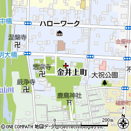 栃木県佐野市金井上町2234周辺の地図