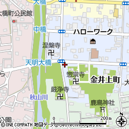 栃木県佐野市金井上町2233-36周辺の地図