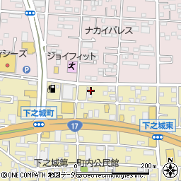 群馬県高崎市下之城町171周辺の地図