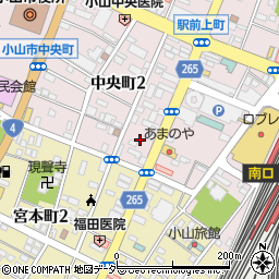 栃木県小山市中央町2丁目11周辺の地図
