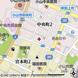 栃木県小山市中央町2丁目6周辺の地図
