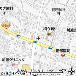 栃木県小山市城東周辺の地図