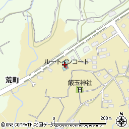 ホテルルートインコート軽井沢周辺の地図