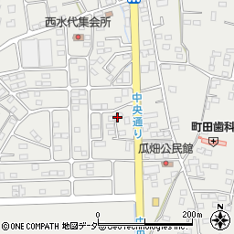 栃木県栃木市大平町西水代2009-10周辺の地図