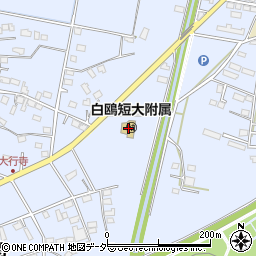 栃木県小山市大行寺1195周辺の地図