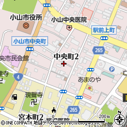 栃木県小山市中央町2丁目周辺の地図