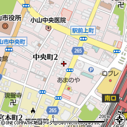 栃木県小山市中央町2丁目10周辺の地図