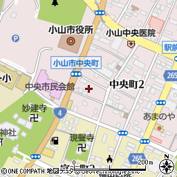 栃木県小山市中央町2丁目4周辺の地図