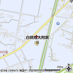 栃木県小山市大行寺717周辺の地図