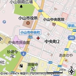 栃木県小山市中央町2丁目3周辺の地図