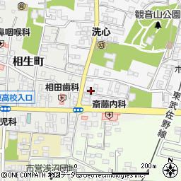 有限会社篠崎商店周辺の地図