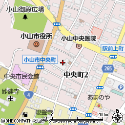 栃木県小山市中央町周辺の地図