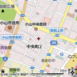栃木県小山市中央町2丁目8周辺の地図