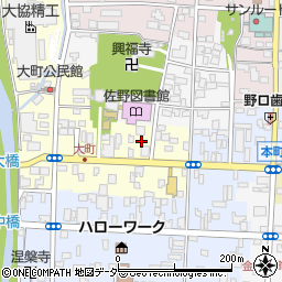 栃木県佐野市大町2980-1周辺の地図