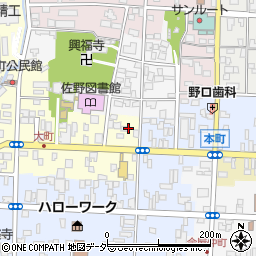 栃木県佐野市大町2955-1周辺の地図