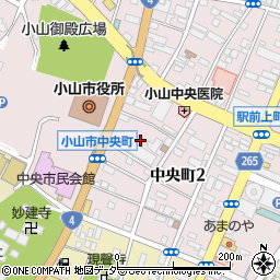 栃木県小山市中央町2丁目2周辺の地図