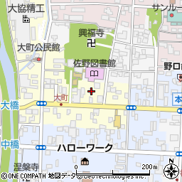 栃木県佐野市大町2983周辺の地図