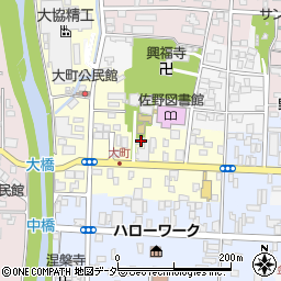 栃木県佐野市大町2988周辺の地図