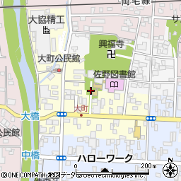 栃木県佐野市大町2989周辺の地図