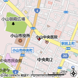 栃木県小山市中央町2丁目1周辺の地図