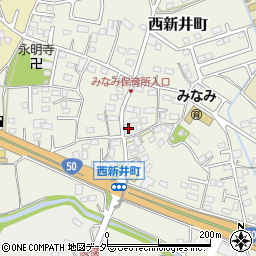栃木県足利市西新井町3257-1周辺の地図