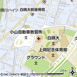 栃木県小山市大行寺1049周辺の地図