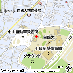 栃木県小山市大行寺1049-1周辺の地図