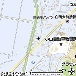 栃木県小山市大行寺978周辺の地図