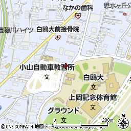 栃木県小山市大行寺1037周辺の地図