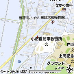 栃木県小山市大行寺979周辺の地図